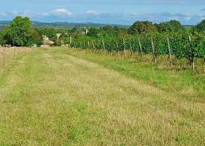 Belle Maison Avec Piscine *